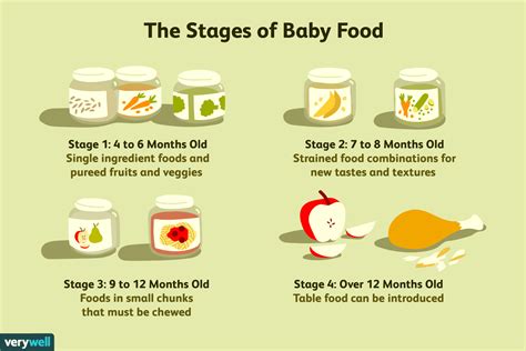 Baby Food Stages on Labels—What Do They Mean?