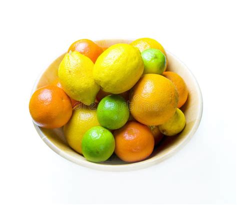 Citric fruit stock photo. Image of fruit, delicious, lime - 5310506