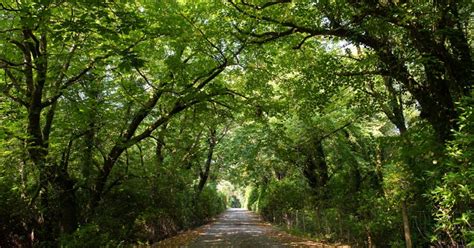 Hiking Trails in Galway - This is Galway