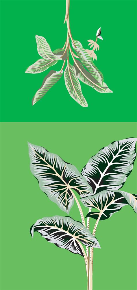 Green pattern stylish design 26170393 Vector Art at Vecteezy