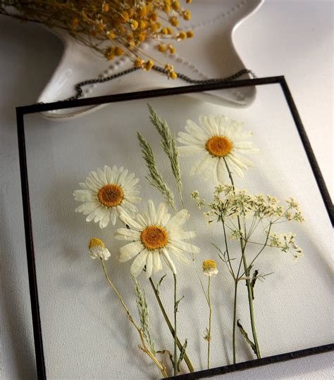 Real pressed white daisies Summer flowers gift Daisy wall hanging Pressed white flowers glass ...