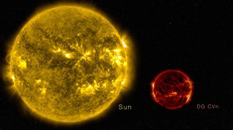 Dwarf Star Comparison