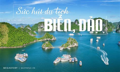 Sức hút du lịch biển, đảo | baotintuc.vn