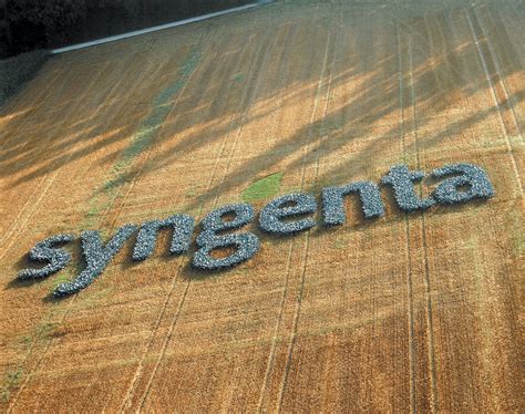 Syngenta to enter Prairie canola seed market - AGCanada - AGCanada