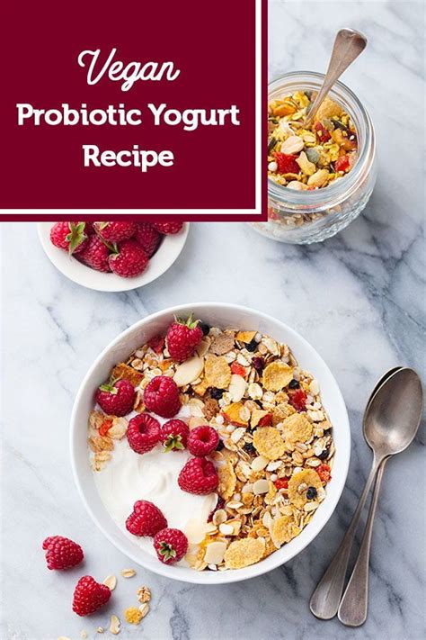 DIY Vegan Probiotic Yogurt Recipe with Floratrex™ | Keto approved foods, Keto diet, Keto diet ...