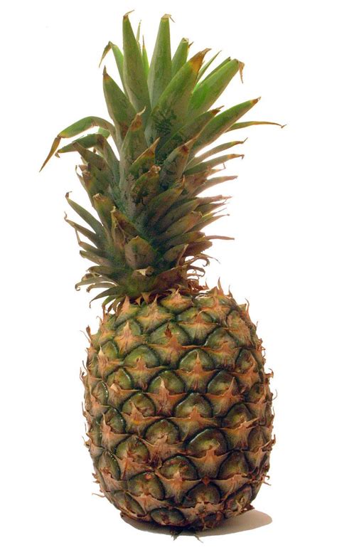 Pineapple Free Photo Download | FreeImages