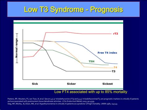 PPT - Non-Thyroidal Illness PowerPoint Presentation, free download - ID:3221174