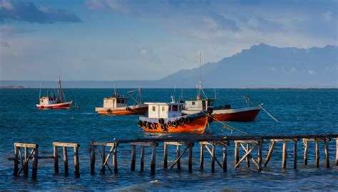 Puerto Natales Travel Guide | Puerto Natales Tourism - KAYAK