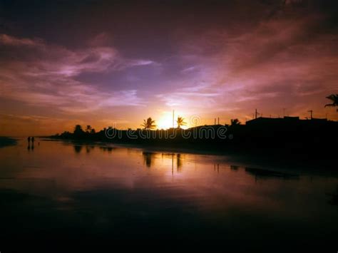 Sunset Paradise Beach Mangrove Sea Stock Photo - Image of mangrove, mangrovesea: 142448598