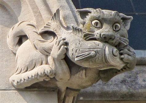 Cat & fish | Gargoyles art, Gargoyles, Gothic gargoyles