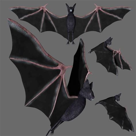 Rigged bat 3D model - TurboSquid 1751451