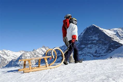 The Ski In Luxury Edition: Top 5 Toboggan Runs in the Alps #SkiBlog #SkiinLuxury #Blog #Toboggan ...