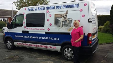 Mobile Dog Groomers Near Me Uk / Best Mobile Dog Groomers Near Me June ...