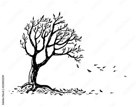 Hand drawn autumn tree silhouette with falling leaves. Ink vector illustration isolated on white ...