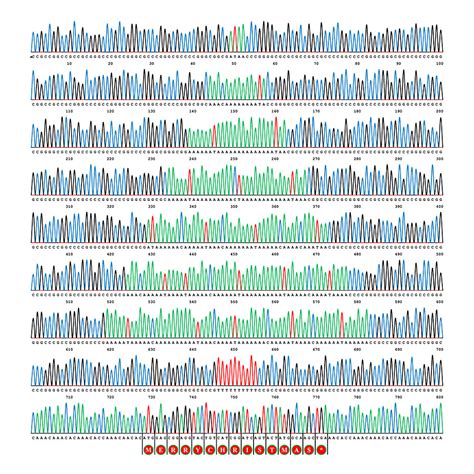 Christmas Tree gene | Dansdna