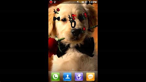 Puppy Live Wallpaper - YouTube