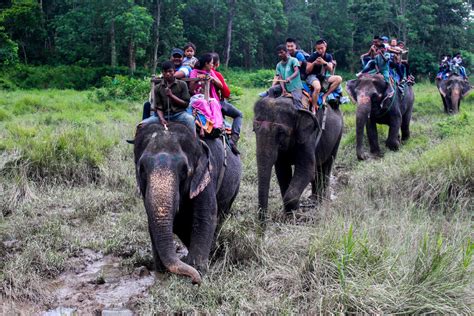 1 Night 2 Days Chitwan Jungle Safari Tour - Nepal Hiking Adventure