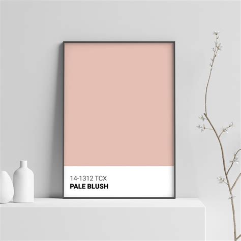 Pantone 'Pale Blush' Pantone, Pantone Color, Pantone Tcx