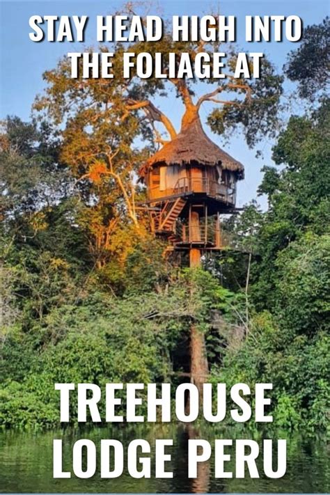 60' Treehouses in the Amazon Rainforest in 2020 | Tree house, Vacation ...