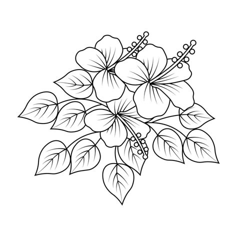 pencil line art flower branch coloring page illustration graphic ...