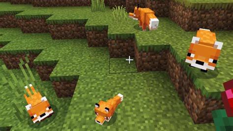 Minecraft Guide: Fox - My Otaku World