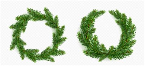 Pine tree branch, round wreath christmas garland. 21493214 Vector Art at Vecteezy