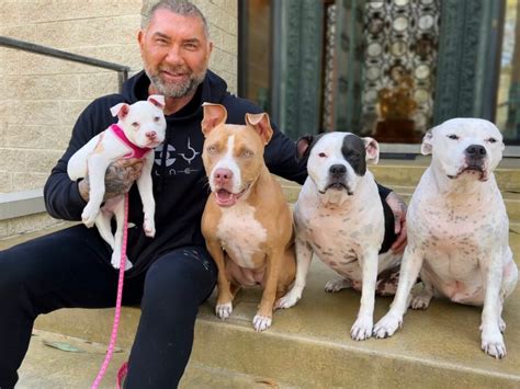 Dave Bautista's Heartfelt Support for Rescue Animals