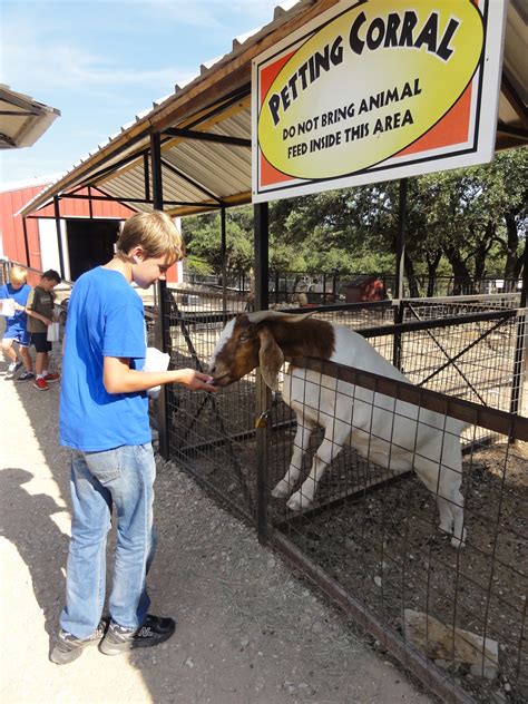 Austin Top 50 Fun in the Sun: Austin Zoo