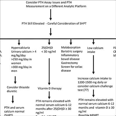 The Eucalcemic Patient With Elevated Parathyroid Hormone Levels ...