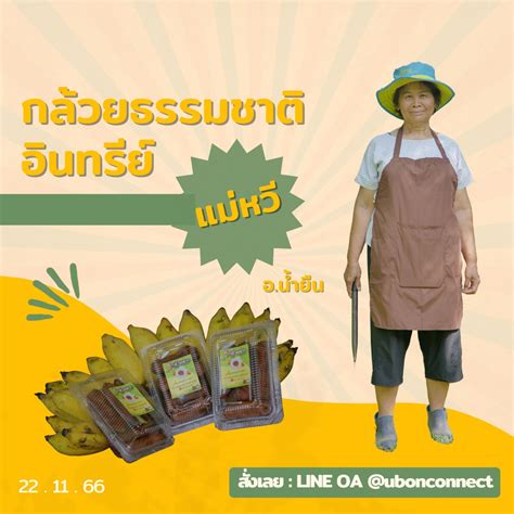 กล้วยธรรมชาติ แม่หวี... - Ubon Connect อุบลคอนเนก