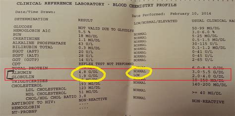 My Blood Work Protein Levels? | Calorie Warrior