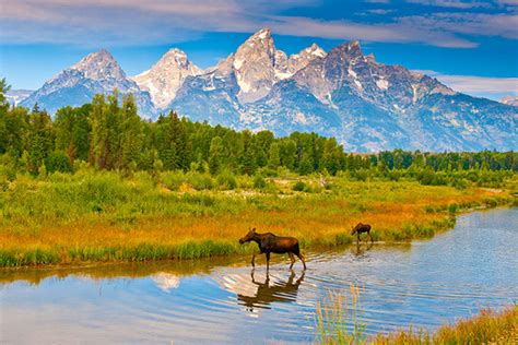 Book Jackson Lake Lodge Cottage, Jackson Hole, Wyoming - All Cabins