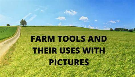 Farm Tools And Equipment Pictures And Names Meaning at Melvin Best blog