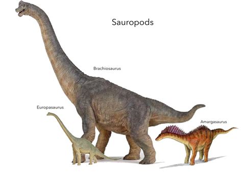 Image - Sauropods.jpg | Peppa Pig Fanon Wiki | FANDOM powered by Wikia