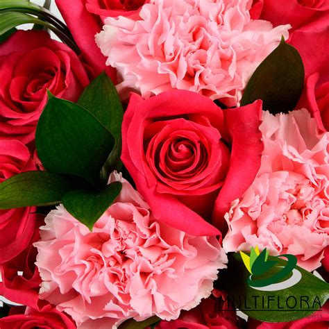 Ten Dark Pink Roses & Carnations | Multiflora