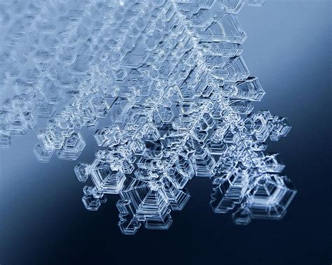 Frost Crystals in Blue Photograph by Tim Kirchoff | Fine Art America