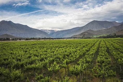 Uncorking Chile's Wine Regions: Sub-Regions & Wine Styles