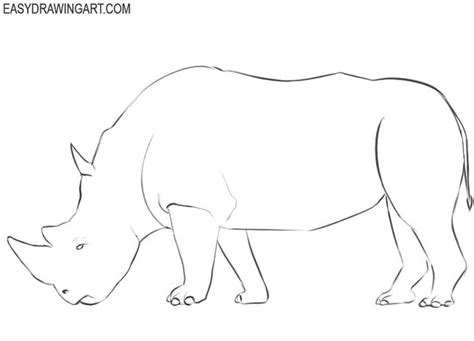 How to Draw a Rhinoceros | Easy Drawing Art | Easy drawings, Drawings, Rhinoceros