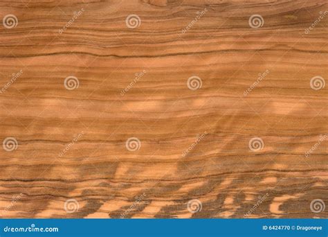 Olive tree wooden texture stock photo. Image of closeup - 6424770