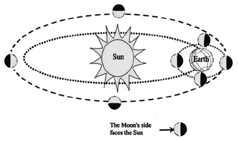 The emergence of an intuitive dynamic model of the Earth–Moon–Sun ...