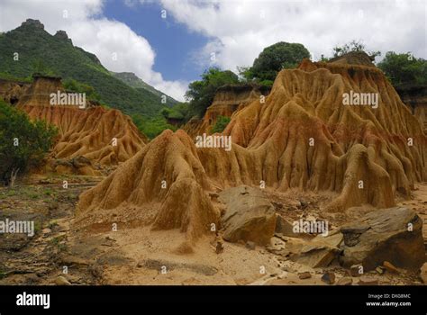 Deep donga due to soil erosion, Ithala Game reserve Stock Photo - Alamy