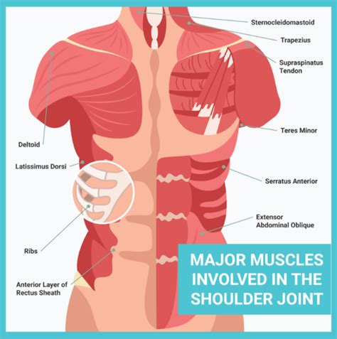 Muscle Spasm Armpit: Potential Causes And Treatments