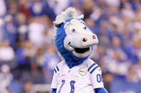 The Bills get trolled by the Colts’ mascot for their latest humiliation ...