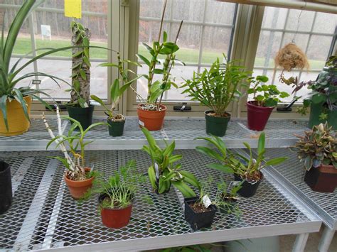 Orchid Greenhouses | Solar Innovations | Orchids, Greenhouse, Plants