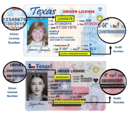 Examples Of Texas Drivers License