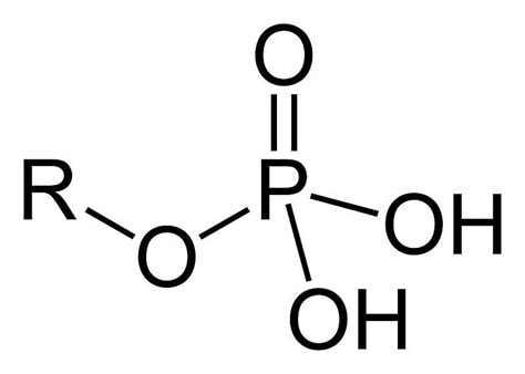 Functional Groups in Organic Chemistry