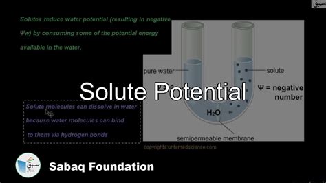 Solute Potential, Biology Lecture | Sabaq.pk - YouTube