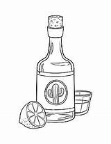 Coloring Page Lemon PNG Vector PSD And Clipart With Transparent  sketch template