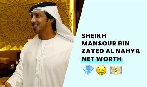 Sheikh Mansour bin Zayed Al Nahya's Net Worth