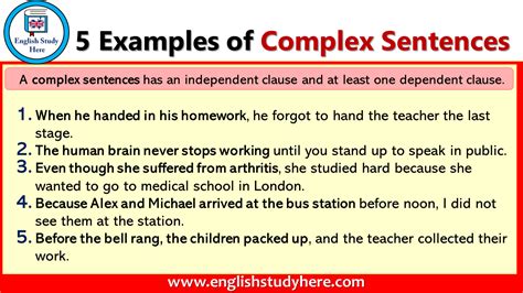 5 Examples of Complex Sentences - English Study Here